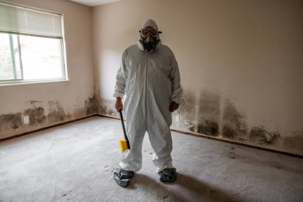 Best Professional Mold Removal  in Frankford, DE